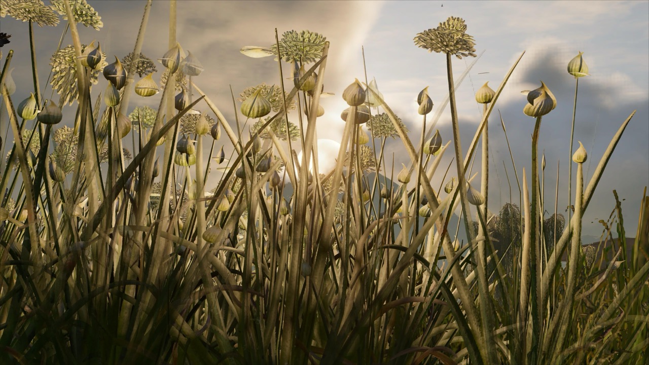 Studies on Breaking Immersion